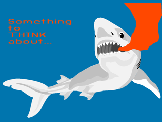 shark.nap rendered